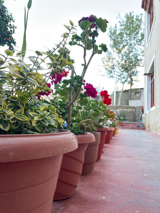 Gaywoo Guest House Leh Kültér fotó