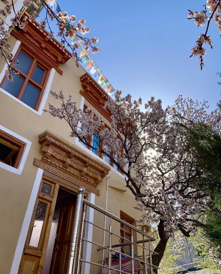 Gaywoo Guest House Leh Kültér fotó